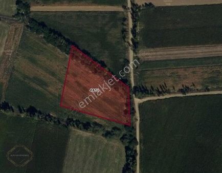 Alpu Bahçecik Köyünde Satılık Sulak Tarla