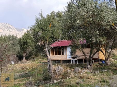 Bilecik Söğüt Tuzaklı Köye Bitişik 2 Dönüm Arsa Yol Su Elektrik