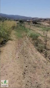 Haykıranda Satılık Kullanışlı Geniş Hobi Bahçesi