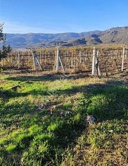 Sakarya Pamukova'da Yatırımlık Hobi Bahçesi