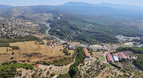 Bornova Karaçam Da Satılık Tarla