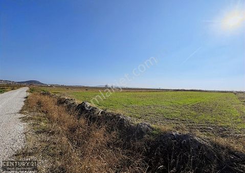 Foça Gerenköy'de Satılık 1171 M2 Tarla