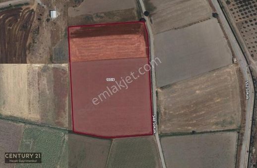 Foça Gerenköy'de Yol Kenarında Satılık 4731 M2 Tarla