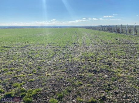 Tekirdag Saray Beyazköyde 6521 Metre Tektapumeraya Cepeli Arazi