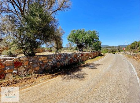 Bodrum Çamlık İmar Potansiyeli Yüksek Satılık 800 M2 Tarla