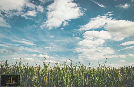 Tezcan'dan Kadınhanı Kolukısa'da Ruhsatlı Kuyulu Taşsız Arazi