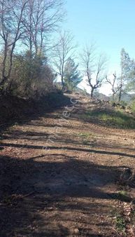 Antalya Gazipaşa Ilıca Köyünde Müstakil Arsa