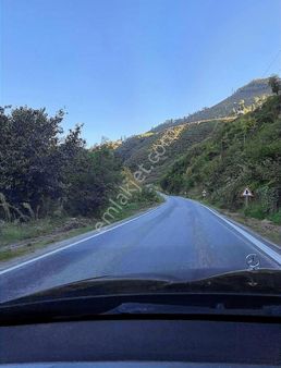 Gökdemir Gayrimenkulden Satılık Fındık Bahcesi