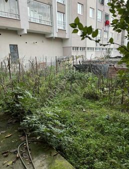 Vezirköprü Çamlık Caddesi Çok Yakın