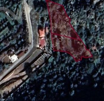 Marmaris Bayır Köyünde Satılık Fırsat Arazi