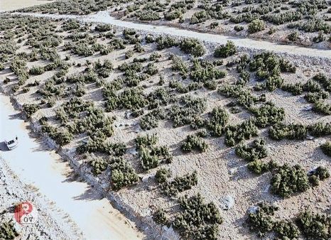 Antalya Korkuteli İmrahor Mahallesi'nde Satılık 423m2 Arsa