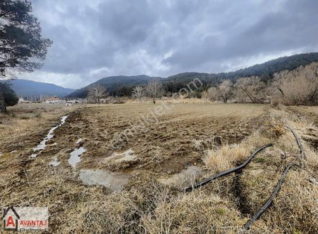 Fethiye Nif Mahallesinde Satılık Köy İçi Tarla!