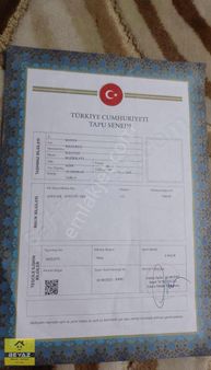 Konya Selçuklu Sulutas Mahallesinde 7670 M2 Verimli Tarla