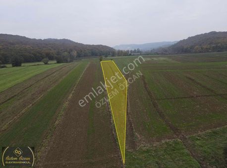 Doğancılı Köyünde Yatırımlık