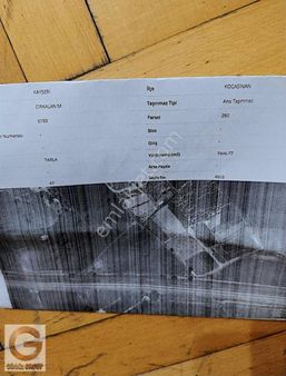 Satılık Cırgalanda Yatırımlık Tarla