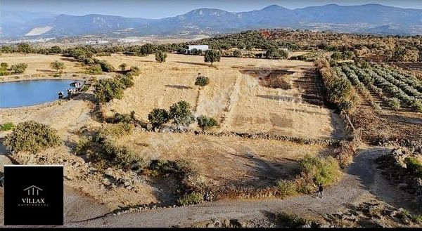 Villax'dan Menemen Telekler Köyünde Satılık Tarla