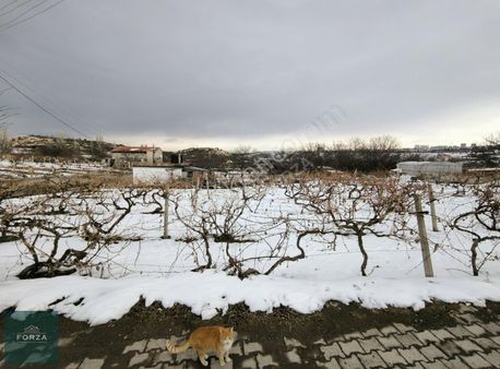 *forza Emlak* Nar'da Bağ Evi,suyu,elektriği Olan Bağ Bahçe