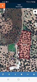 Rota’dan Fırsat Satılık Zeytinlik !!