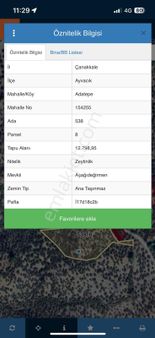 Adatepede 12.798 M² Zeytinlik Yatırım Fırsatı!