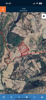 Bergama Sarıcaoğlu'nda Satılık Tarla