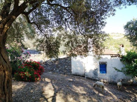 Milas'ta Doğal Güzellikler İçinde Satılık Müstakil Ev