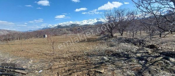 Ulukışla Kılan Yaylasında Merkezine 1600 Metre