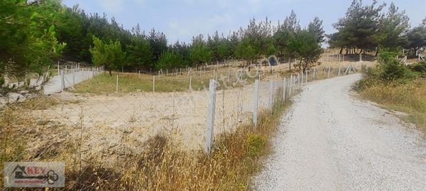 Menderes Çatalca'da 290m2 Hisseli Tarla Key Emlaktan Satılıktır