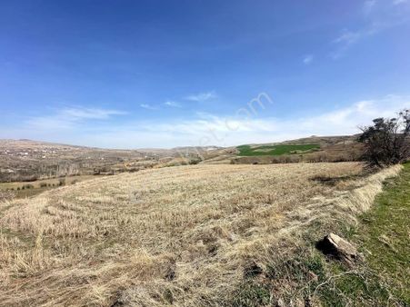 Kocasinan Hasan Cı Köyünde İmara Yakın 2701 M2 Tarla