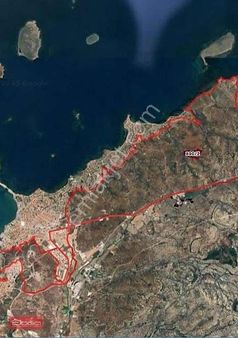 Balıkesir Ayvalık Sahilkent Mahallesinde 238m Satılık Zeytinlık