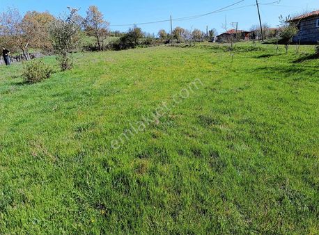 Çanakkale Yenice Namazgah Köyü Satılık Arsa Ve Kargir Bina