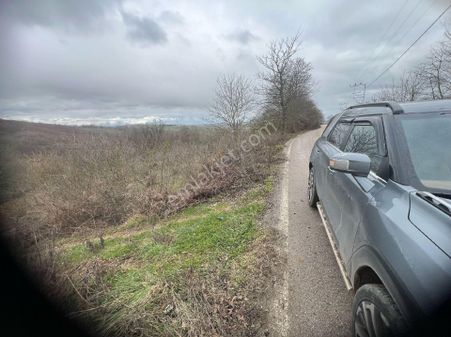 Asfalta Cephe Tam Bir Fırsat