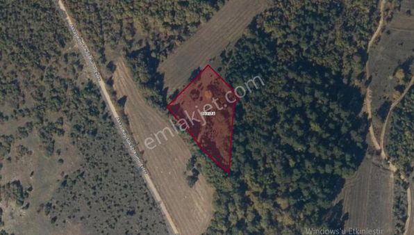 Bilecik Gölpazarı Aktaş Köyünde Satılık 5 Dönüm Tarla