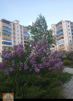 Karaman Merkez Yenişehir Mh. Fırsat Hesaplı Daire Satılıktır