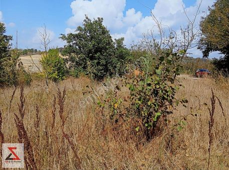 İzmit Sapakpınar Köyünde Satılık Resmi Yollu Tarla