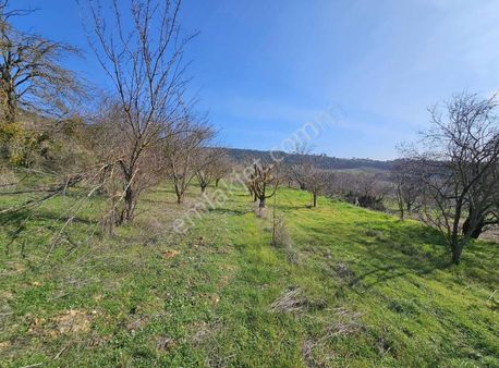 Sng Gayrimenkul Den Hısarlık Mah İmarlı Arsa