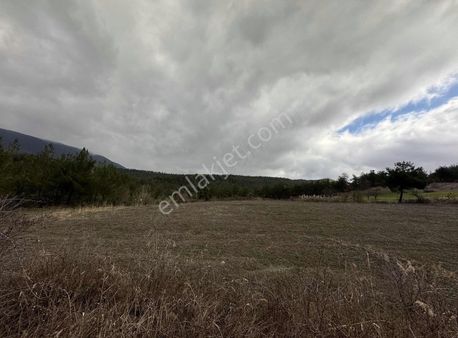 Sng Gayrimenkul Den Çamlıkta 4.098 M2 Arazi