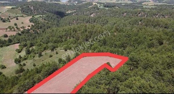 Sng Gayrimenkul Den Fırsat Kupon Tarla