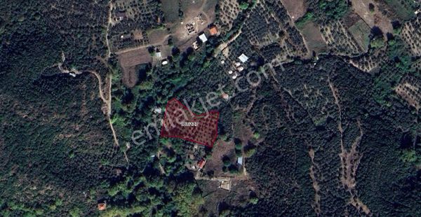 Net Emlak'tan Erdek Doğanlar Satılık Arazi