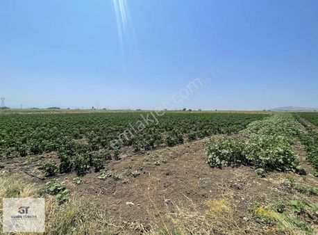 Güven Türkiye Den 8.800 M2 Tarla Seyran Acil