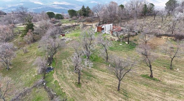 Çanakkale Bayramiç Külcüler Satılık Bağ