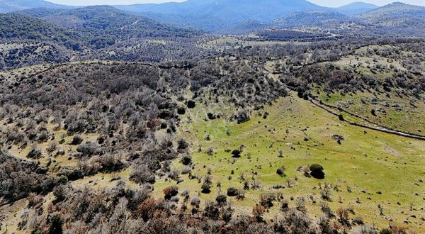 Çanakkale Ezine Köseler Kelepir Arazi