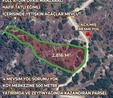 Arazi Uzmanı'ndan Ege'de Hayalinizdeki Zeytinlik