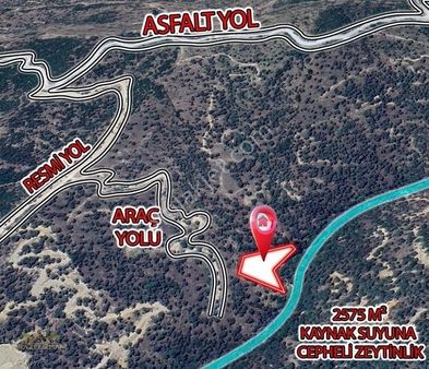 Arazi Uzmanı Abdullah Kutlu'dan - Aydın Koçarlı 2575 M2