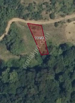 Bursa Gemlik Güvenli Köyünde Satılık Tarla