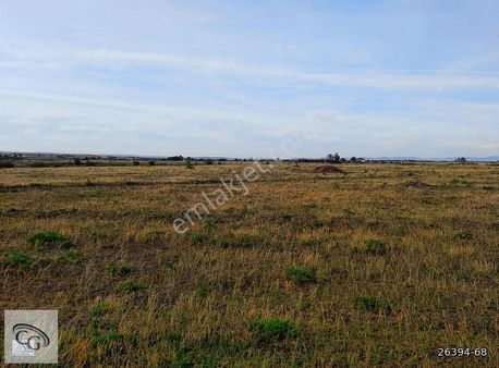 Tekirdağ-ergene-ulaş'da Satılık 10 Dönüm Verimli Tarla