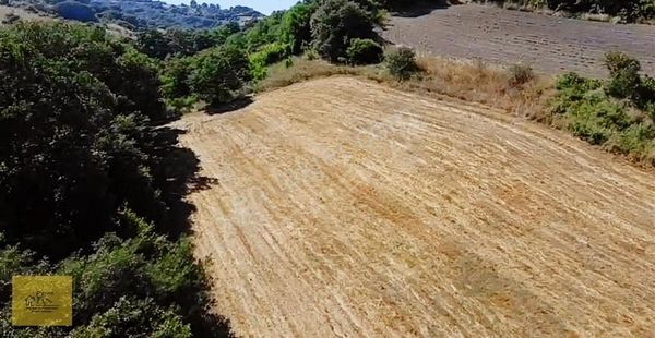 Detay Emlaktan Şevketiye Tek Tapu 4 Buçuk Dönüm Satılık Tarla