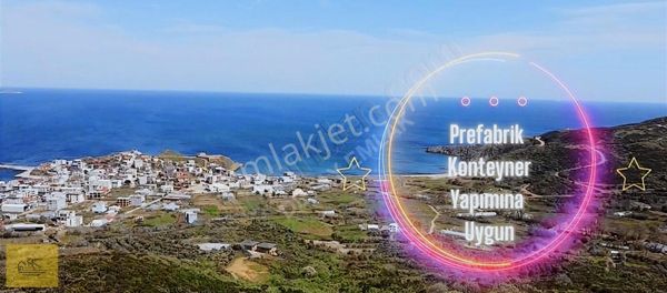 Detay Emlak'tan Sahilyenice'de Deniz Manzaralı Satılık Zeytinlik