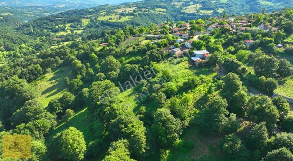 Detay Emlak'tan Çanakkale Yenice'de Köy İçerisinde Satılık Arsa