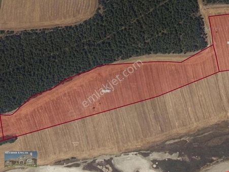 Deniz Manzaralı Tekirdağ Şarkköy De 7548m2 Satılık Tarla
