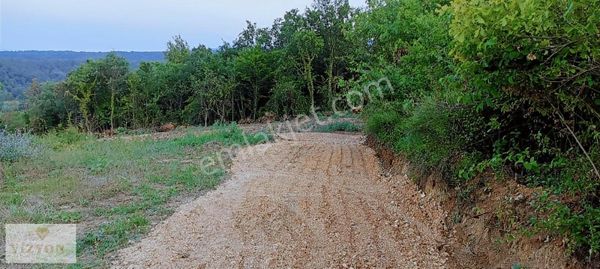 İnegöl/akıncılar Mh. Köy İçi Satılık 633 M2 Özel Parseller